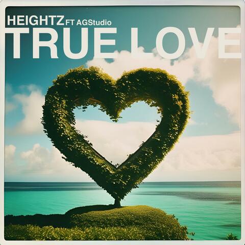 True Love (feat. AGStudio) album art