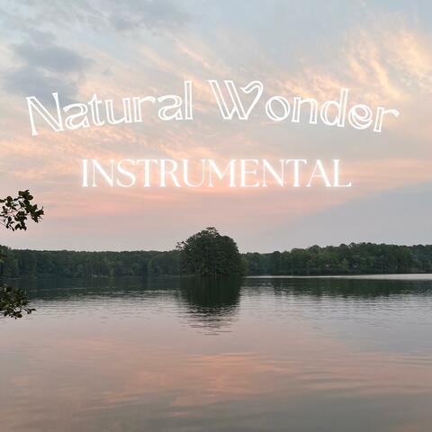 Natural Wonder (Instrumental) album art