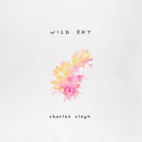 Wild Sky album art