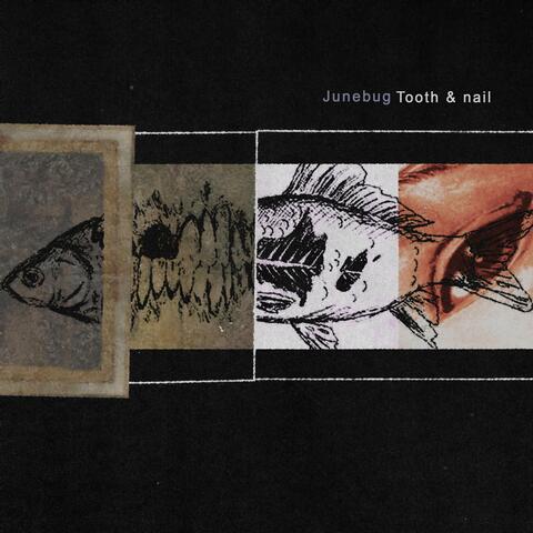 Tooth & nail album art