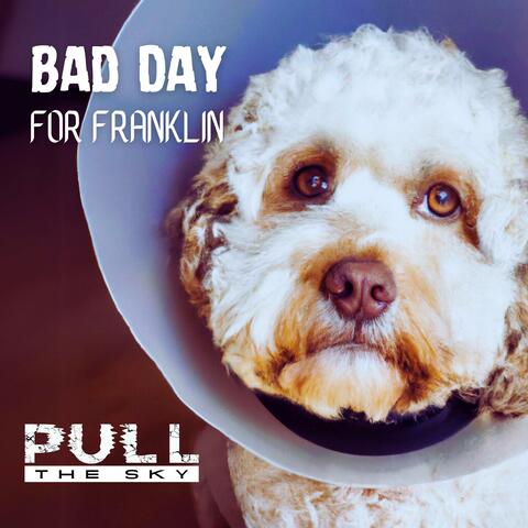 Bad Day for Franklin album art