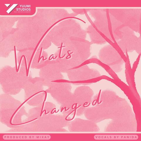 Whats Changed (feat. Mixay) album art