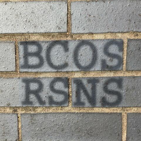 BCOS RSNS album art