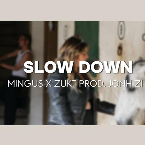 SLOWDOWN (feat. ZUKT & JONH ZI) album art