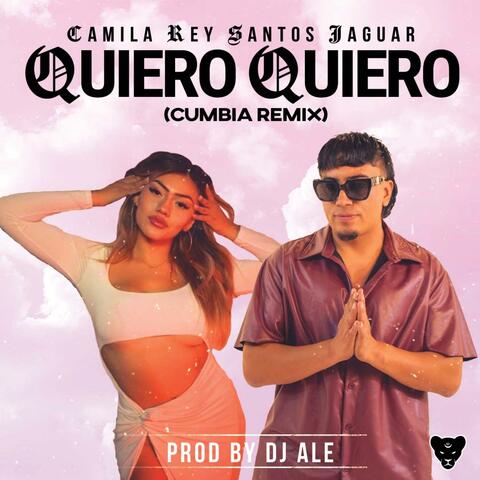 Quiero Quiero (Cumbia Remix) album art