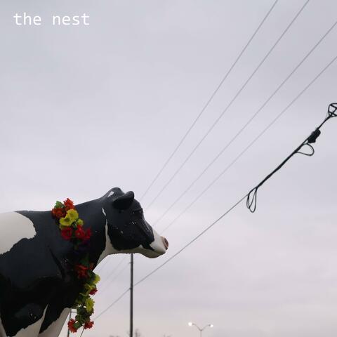 The Nest album art