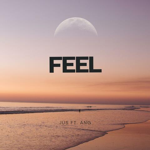 FEEL (feat. ang) album art