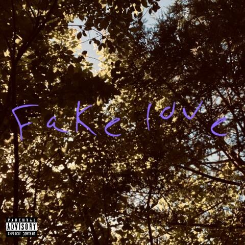 Fake Love album art