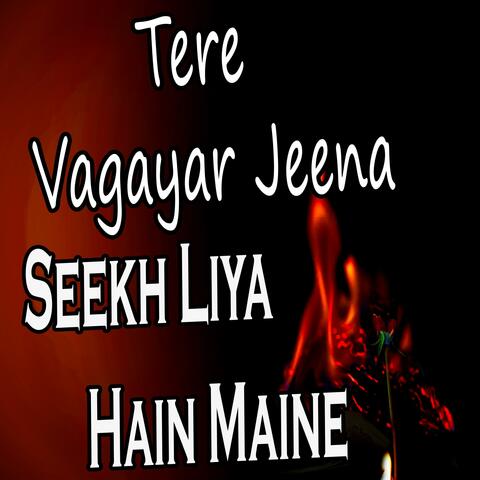 Tere Vagayar Jeena Seekh Liya Hain Maine album art