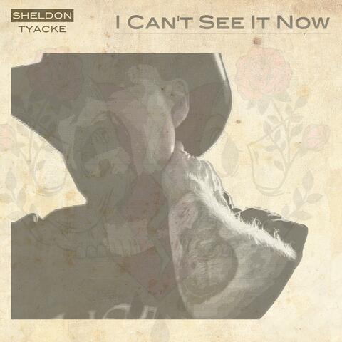 I Can't See It Now album art