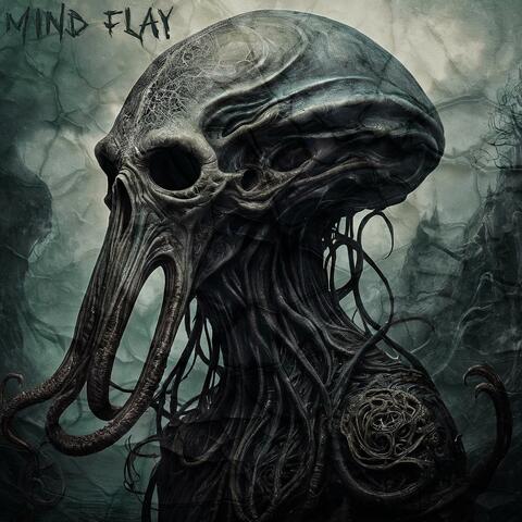 Mind Flay album art