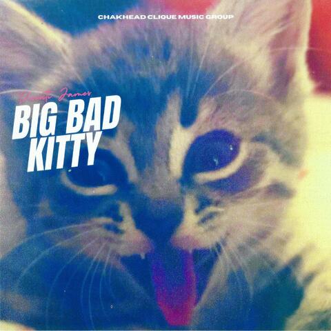 BIG BAD KITTY album art