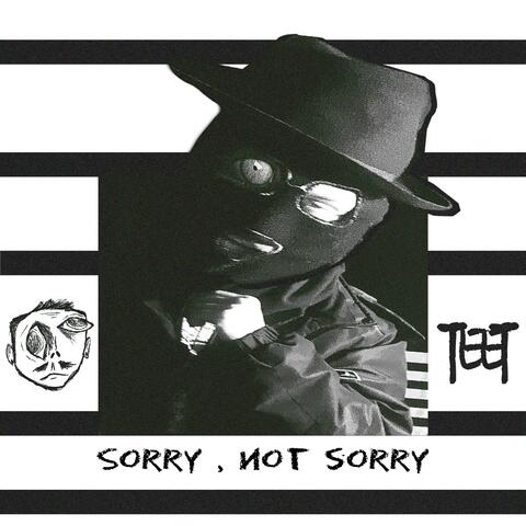 Sorry, Not Sorry album art