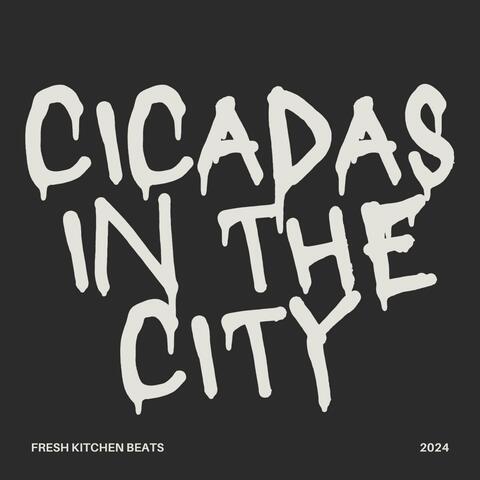 cicadas in the city album art