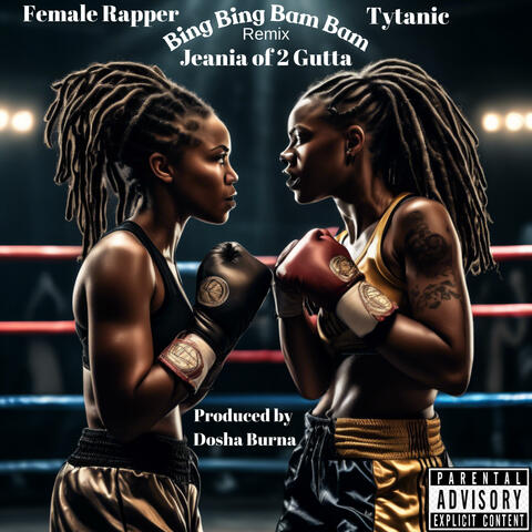 Bing Bing Bam Bam remix (feat. Female Rapper & Tytanic) album art