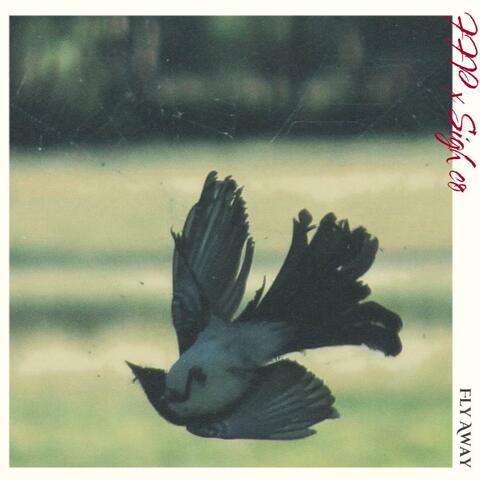 Fly Away (feat. Far From Paradise) album art