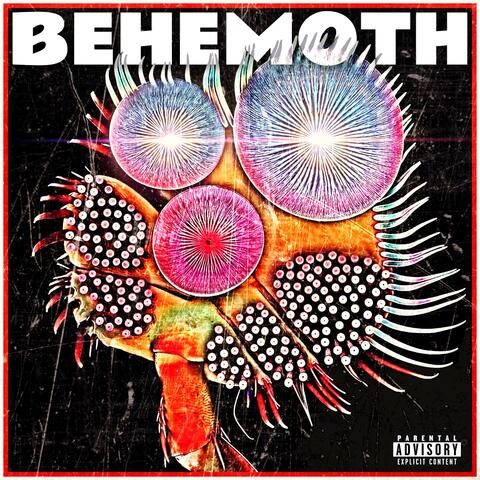 BEHEMOTH album art