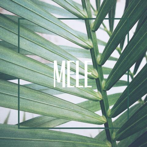 MELE album art