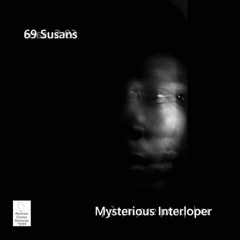 Mysterious Interloper album art