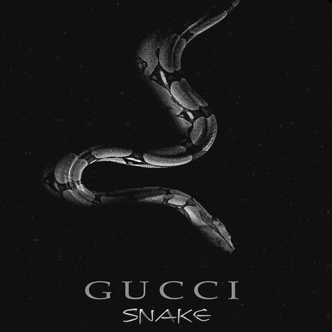 Gucci Snake album art