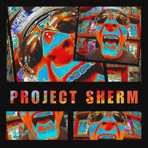 Project Sherm album art