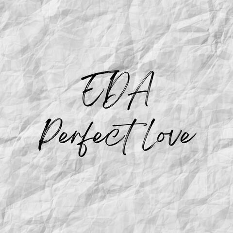 Perfect Love album art