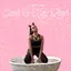 Glitter N' Kitty Litter album artwork