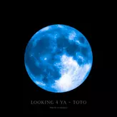 Image of LOOKING 4 YA