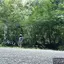 Honey Hill