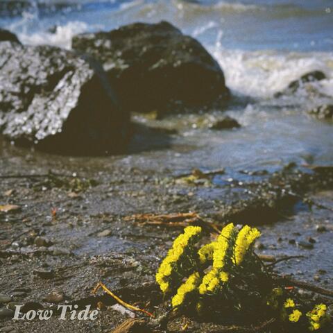 Low Tide album art