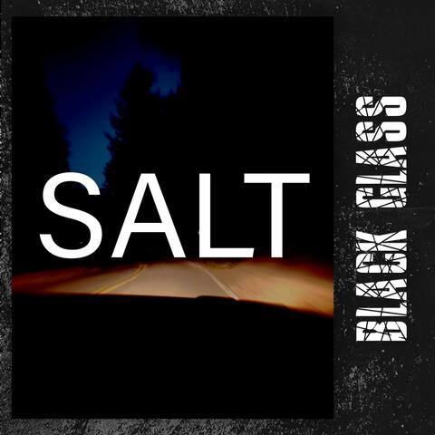 SALT album art