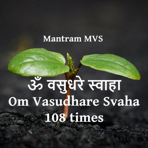 OM Vasudhare Svaha album art