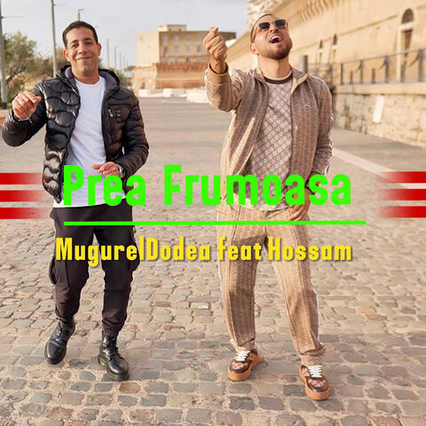 Prea frumoasa (feat. Hossam) album art