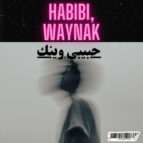 Habibi waynak _ حبيبي وينك album art