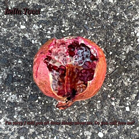 I'm Sorry I Told You All Those Things About Me. Do You Still Love Me? album art
