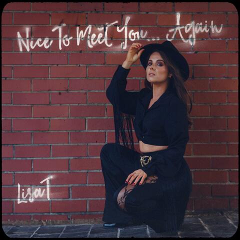 Nice To Meet You... Again album art