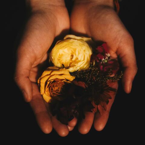 Handle With Care album art