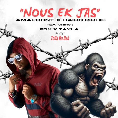 Nous Ek Jas album art