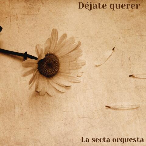 Dejate Querer album art