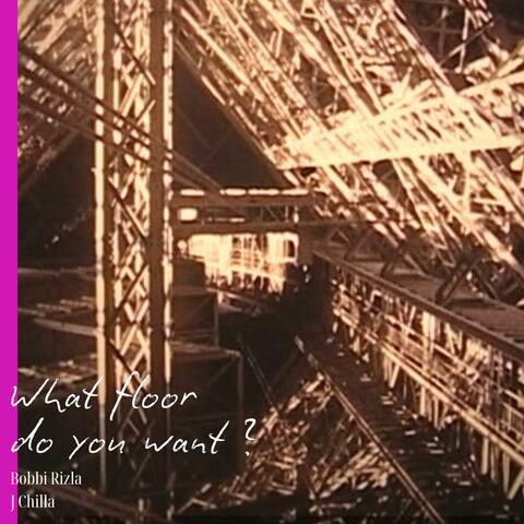 What floor do you want? album art