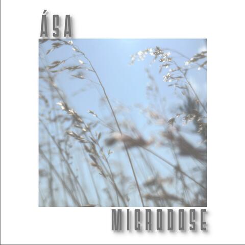 Microdose album art