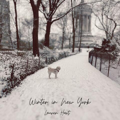 Winter in New York album art