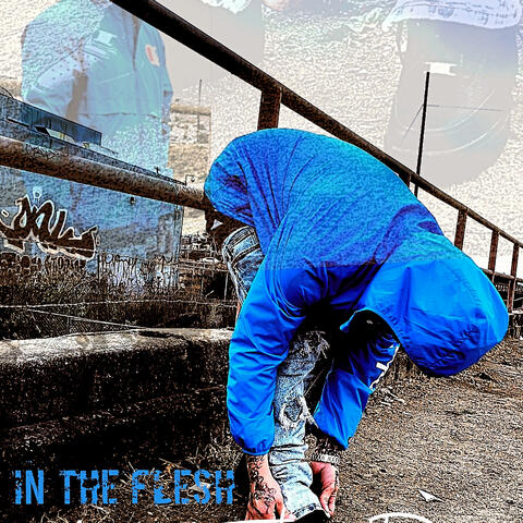 IN THE FLESH album art