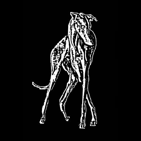 TILBAGE album art