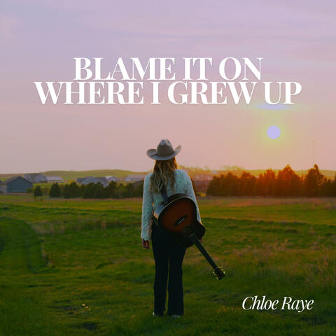 Blame It On Where I Grew Up album art