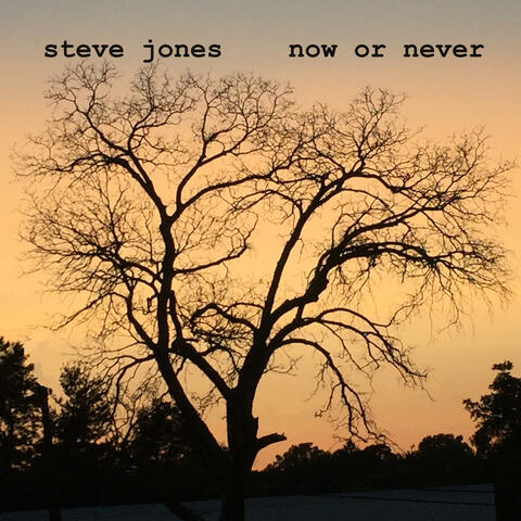 now or never album art