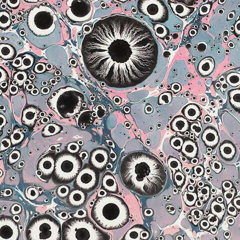 Fried Mind's Eye album art