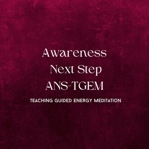 Awareness Next Step Teaching Guided Energy Meditation album art