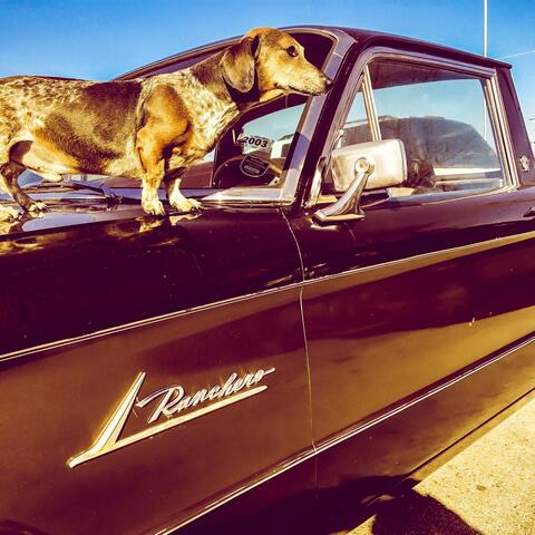 Ranchero album art