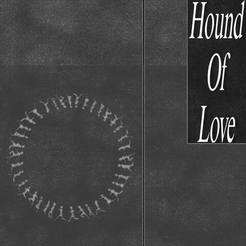 Hound Of Love album art